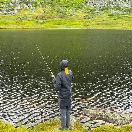 Tatil Evi Hand-crafted In Evardalen Near Hovden *