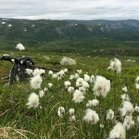 Tatil Evi Hand-crafted In Evardalen Near Hovden *